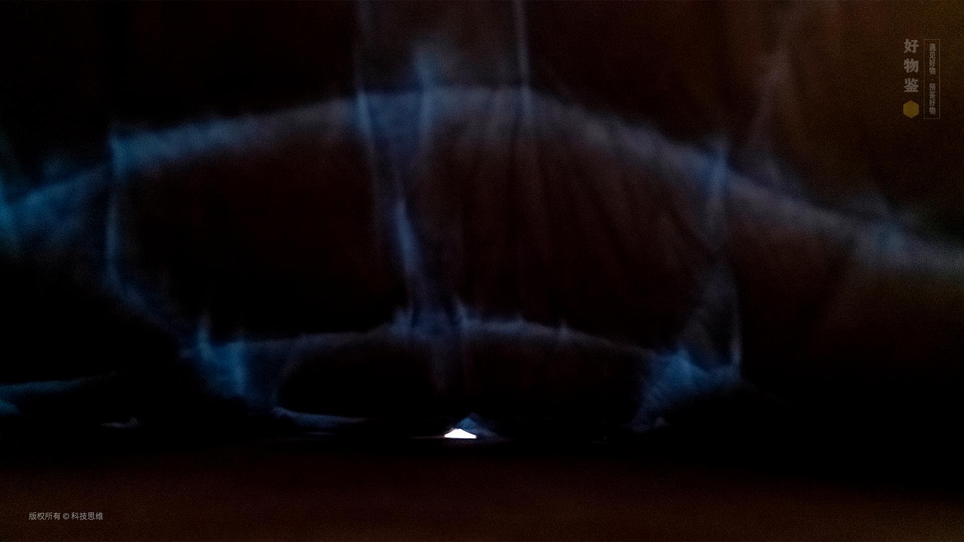 老罗鹅绒被推荐,网易严选鹅绒被测评