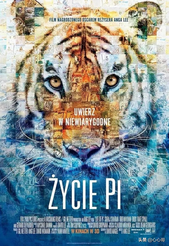 宅男宅在家必看的电影,宅在家看的电影推荐