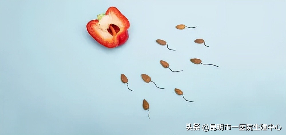 备孕男性也需要做孕前检查,超声检查影响备孕吗