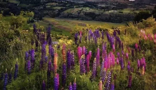 星辰星语：底气，是最高贵的标配