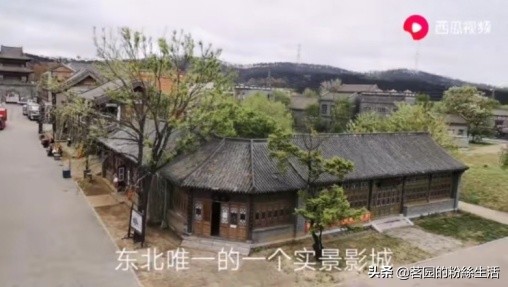 沈阳鲁园古玩城地摊,沈阳鲁园古玩市场大集