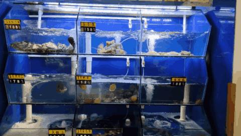 彭厨湘菜99购3-4人超值套餐,厨嫂当家湘菜6-8人餐