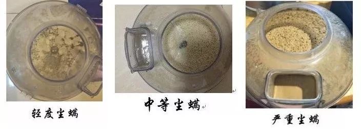 床垫除尘除螨虫多少钱,床垫螨虫怎么彻底消灭