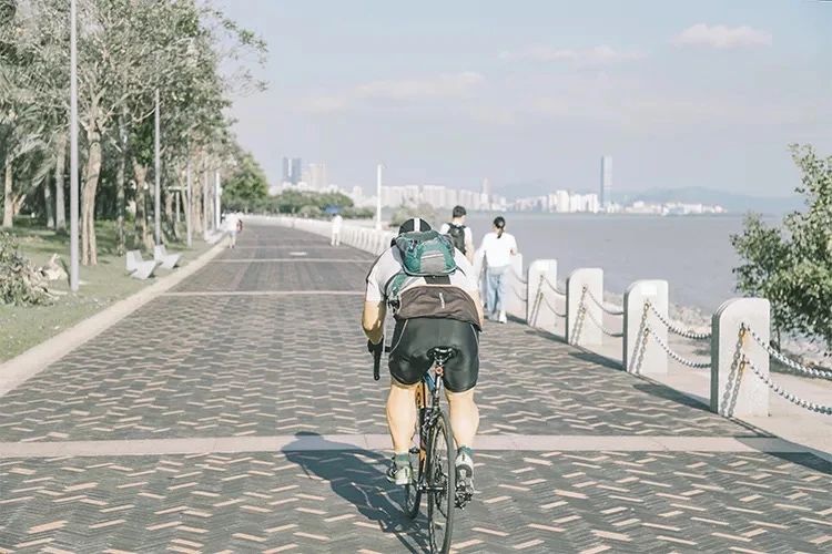 深圳11号线哪一站下车可以看海,坐深圳11号线去看海的地方