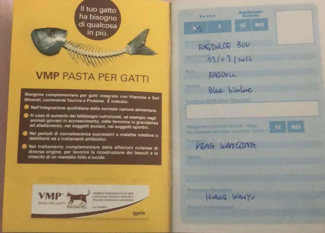 俄罗斯养猫的真实感受,意大利养狗的利弊