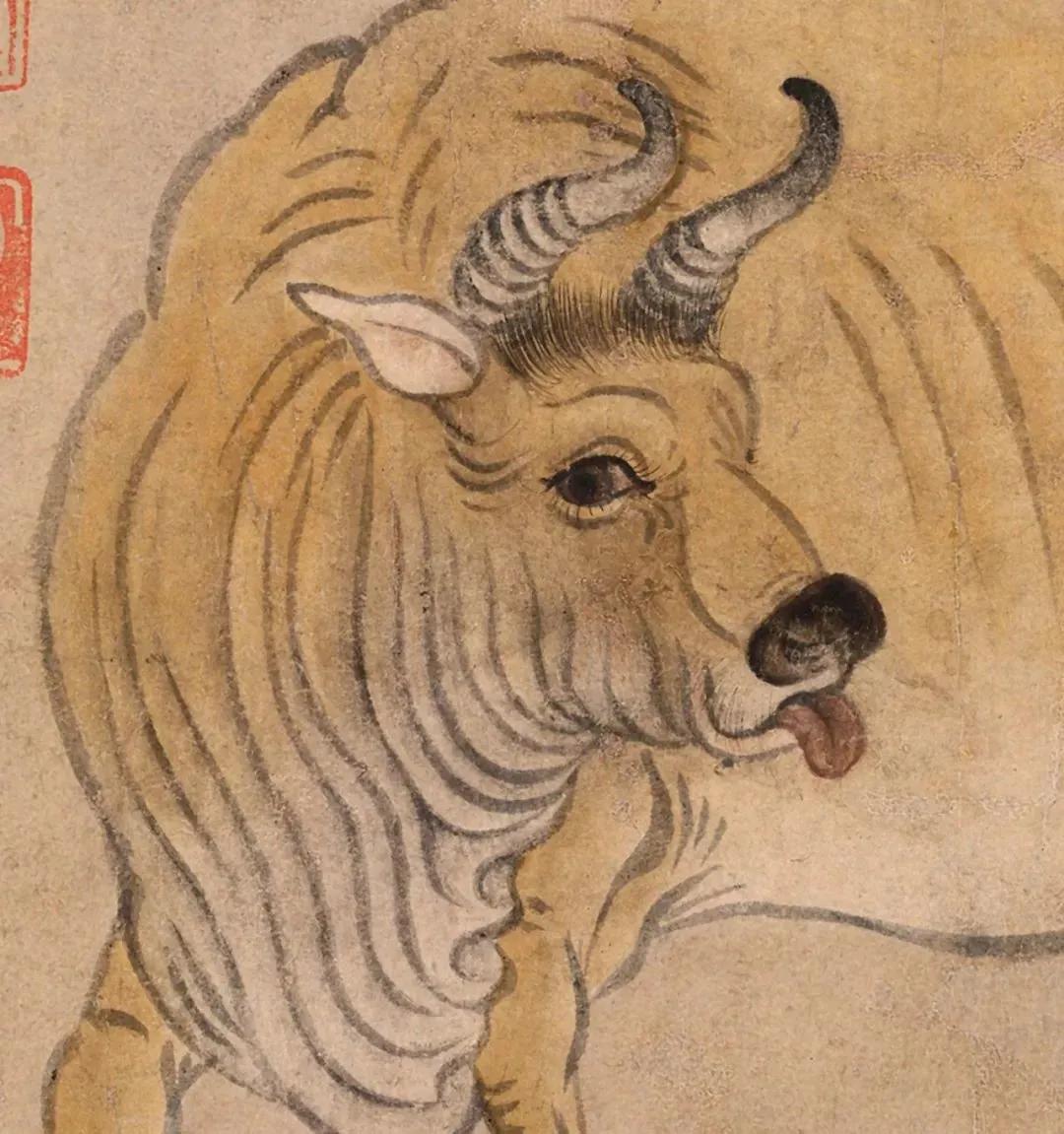 牛一共有四个胃哪个是真正的胃,牛有四个胃会什么的科普小知识