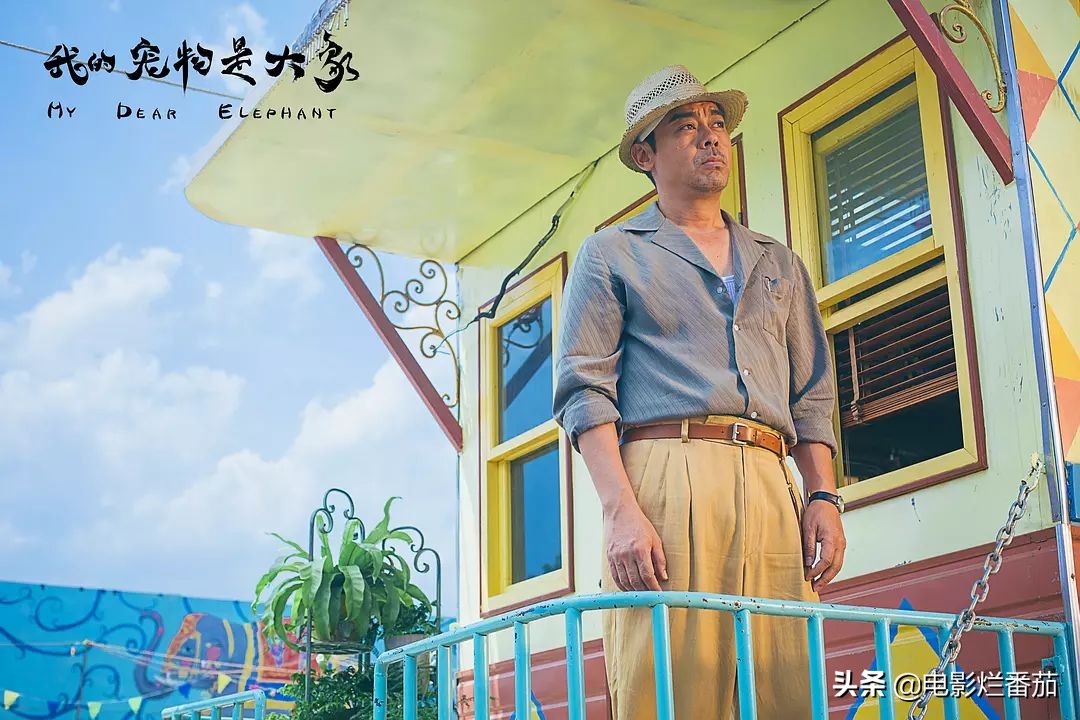 刘青云为什么缺席金像奖,刘青云的真实生活视频