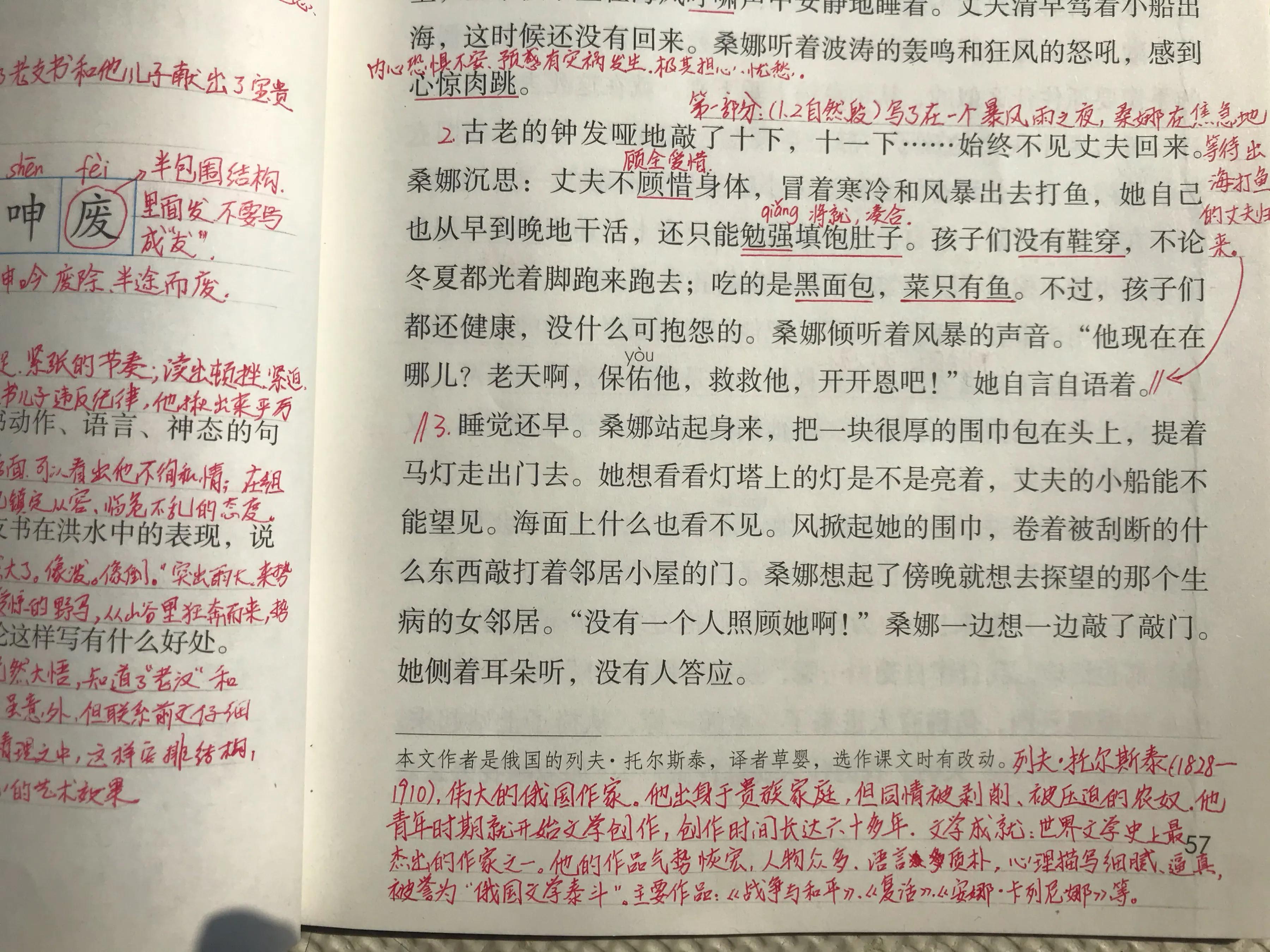 六年《穷人》，看资深教师手写笔记，帮助学生学习语文