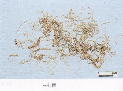 教你怎样辨别真假三七粉,网上买到的假三七粉怎么辨别