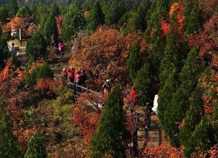 昌平最美的秋景在哪里,北京最美的秋景赏叶胜地香山公园