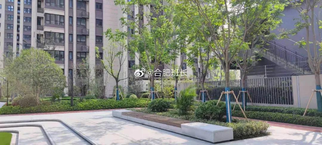 滨湖一盘同意交付整改！4大品质升级！10大交付小区上红榜