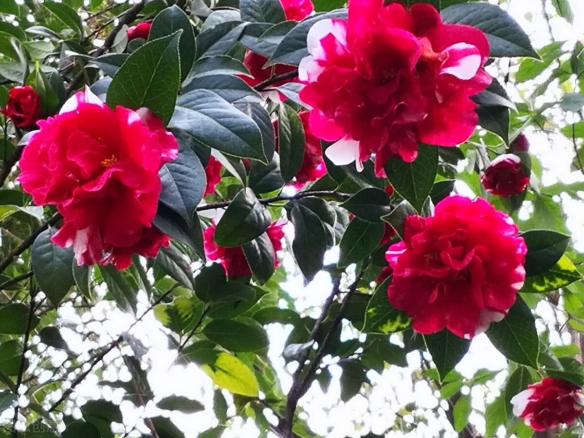 昆明市内游玩好去处 (云南昆明最值得玩的地方)