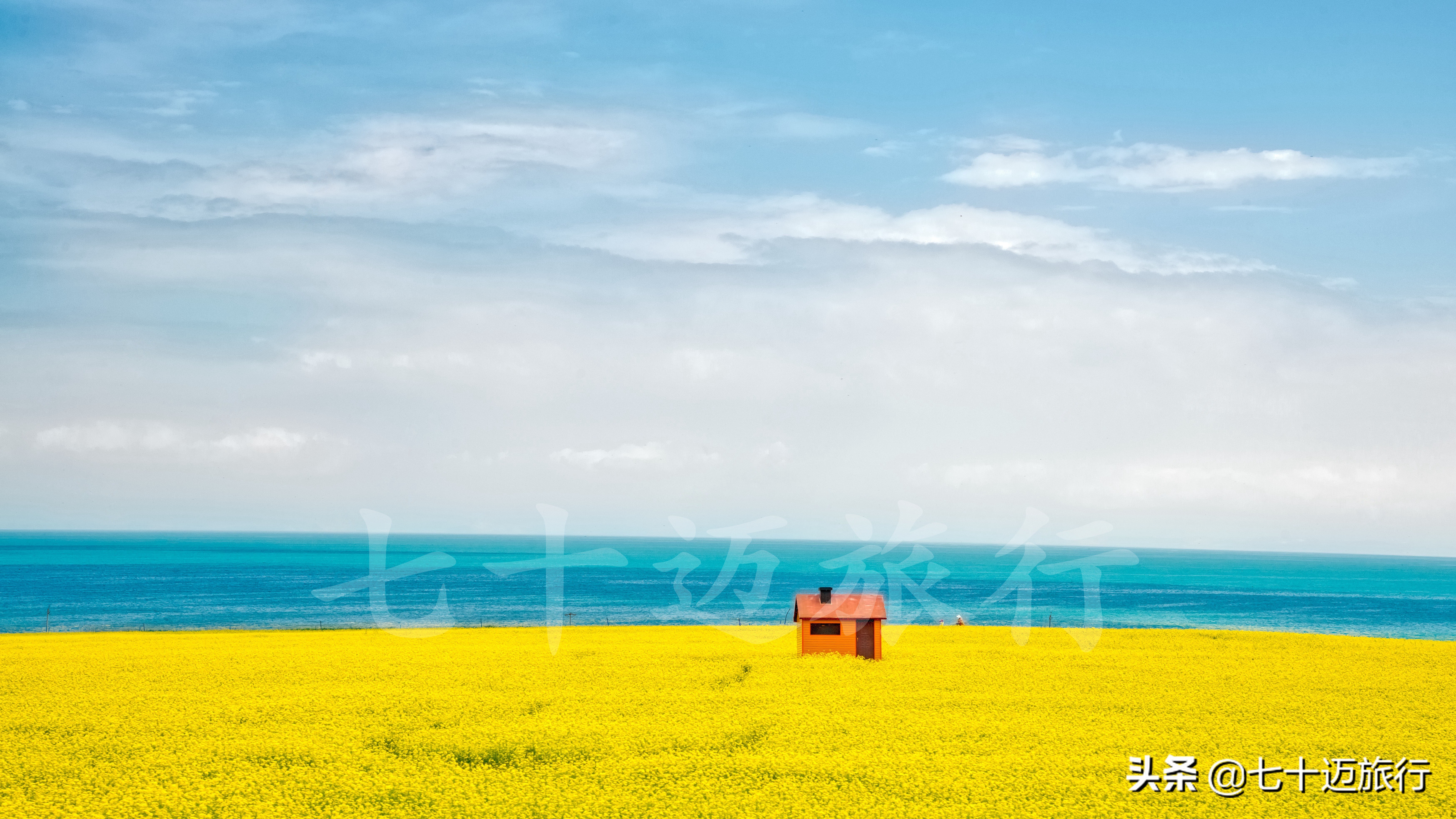 自驾游青海湖景点攻略图片最新版,青海湖自驾游必去景点攻略图