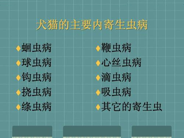 狗狗不吃饭怎么判断是否生病,狗狗拒食护食方法
