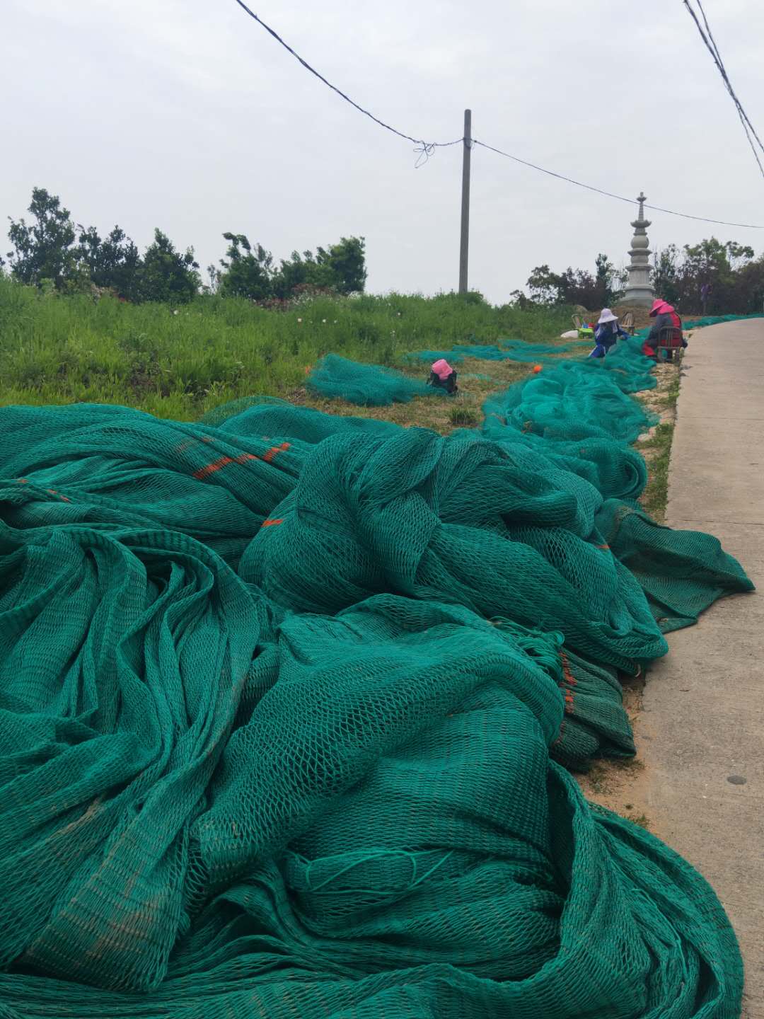 冬季的枸杞岛,枸杞岛感受