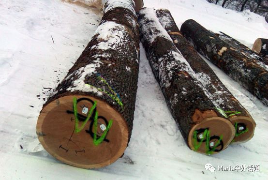 美国硬木干货价格,北美硬木排行