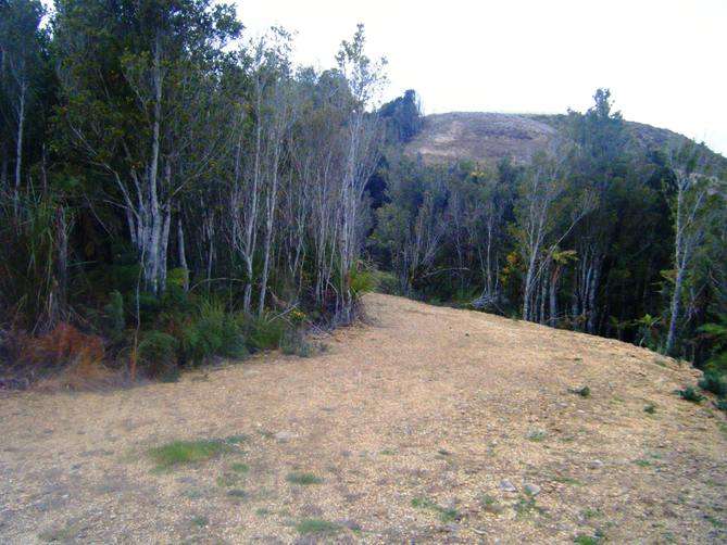 100万人民币在新西兰,100万在新西兰能买到什么车