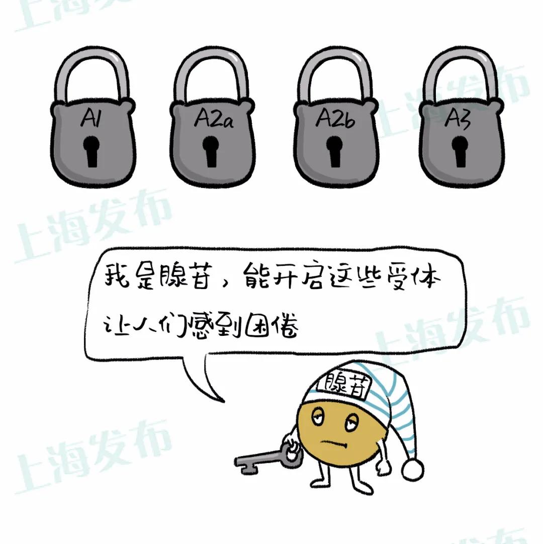 高浓度咖啡豆提神,咖啡豆提神还是咖啡提神