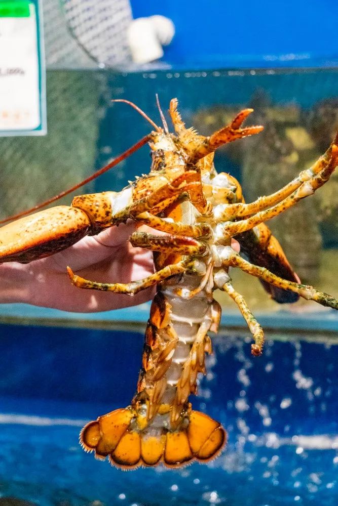 千万别带女朋友来泉州这家超市，她可能会赖着不肯走……