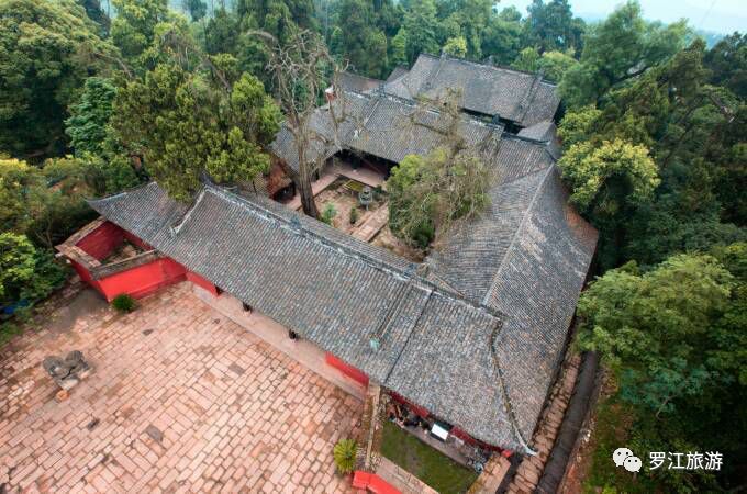 罗江赏梅花,罗江的礼物去哪买