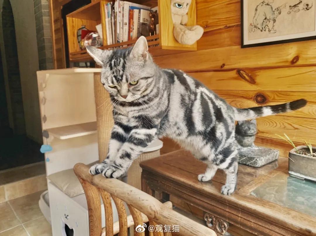 大家期盼的真实事件,掉缸事件怎么处理