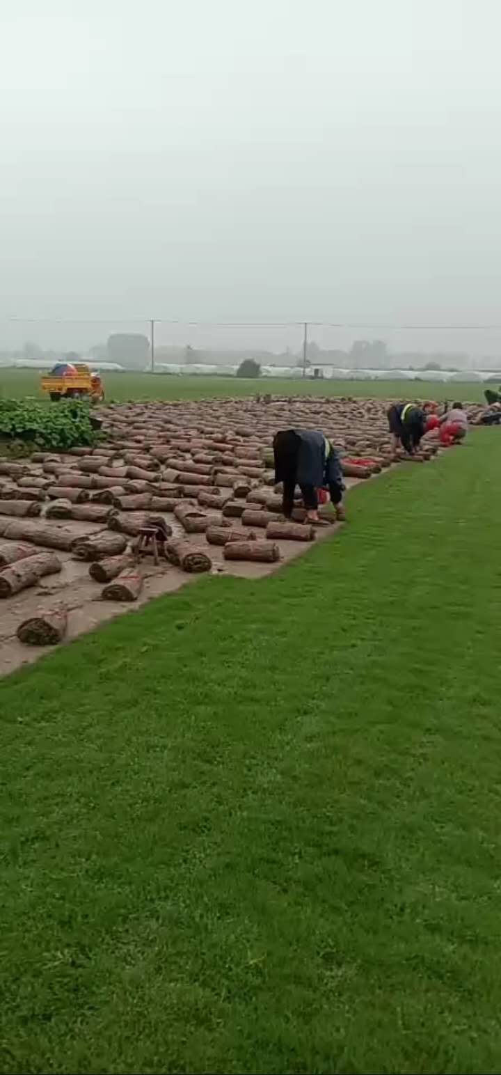 一个癌症患者的康复之路,抗癌创业之路