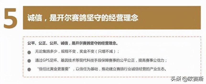 品牌战略*局破**必备的七种*器武**