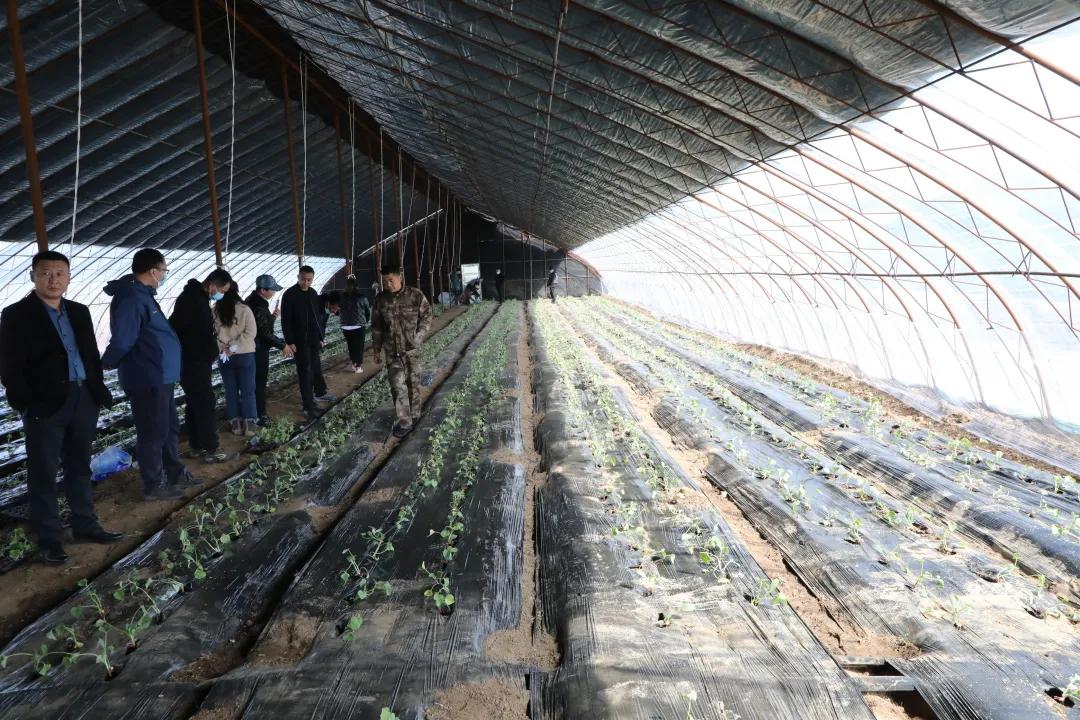 锦州市促进就业创业政策,返乡入乡创业创新政策宣传周