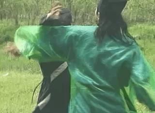 江湖恩仇录电视剧76版金顶神功,武侠剧江湖恩仇录