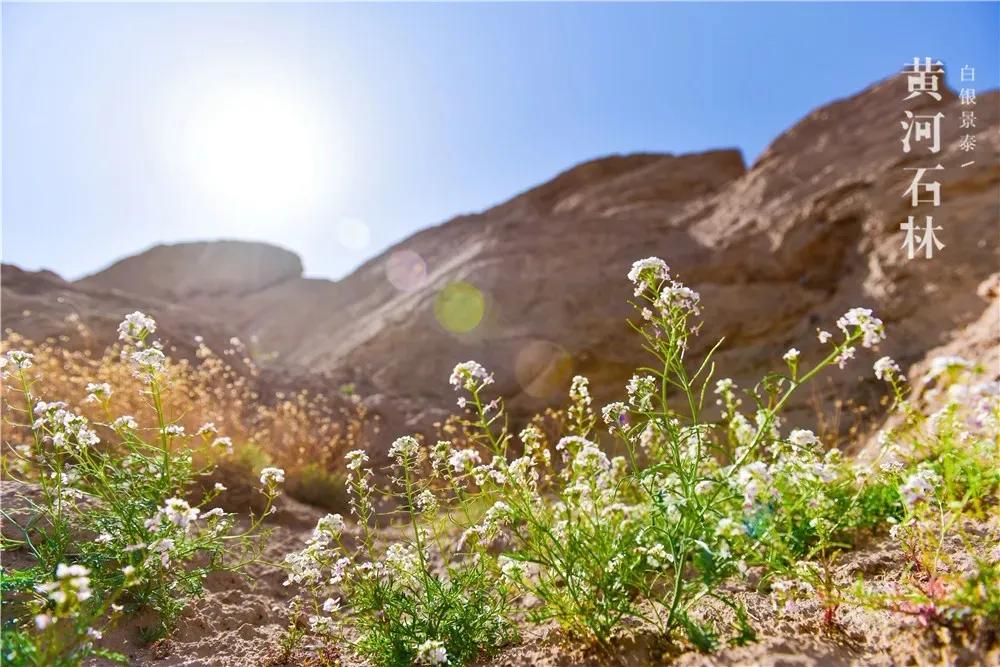 住最静的酒店，看最美的景！只因在黄河石林~