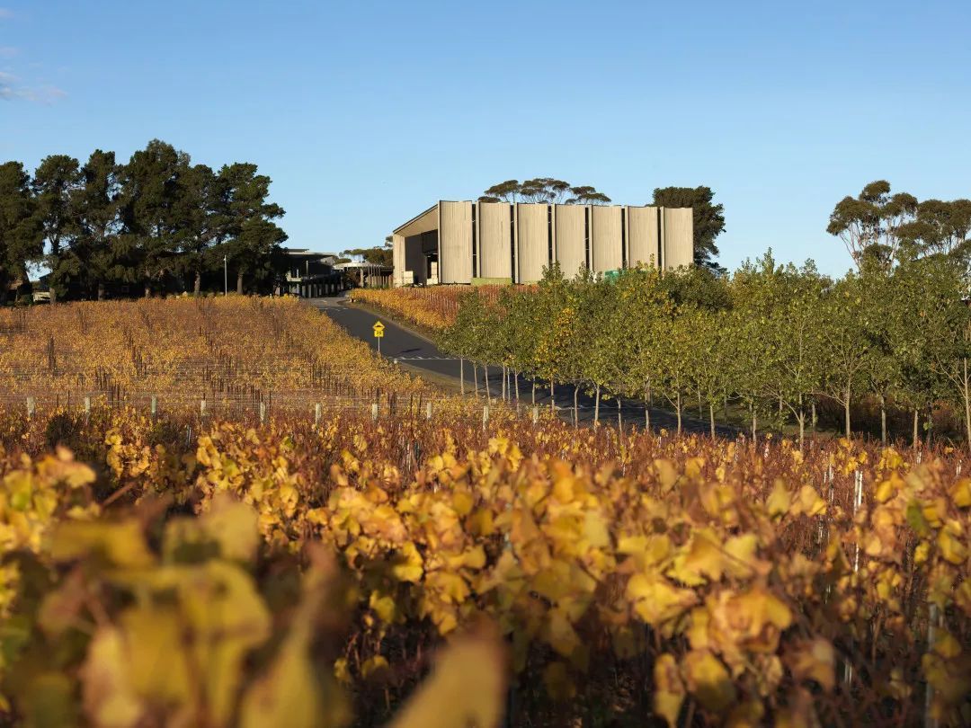 德国最适合旅游的十大酒庄,塔斯马尼亚岛最美的地方