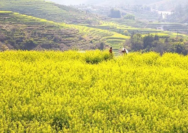 广东旅游攻略自驾游最佳路线,广东旅游攻略自驾游带孩子三天