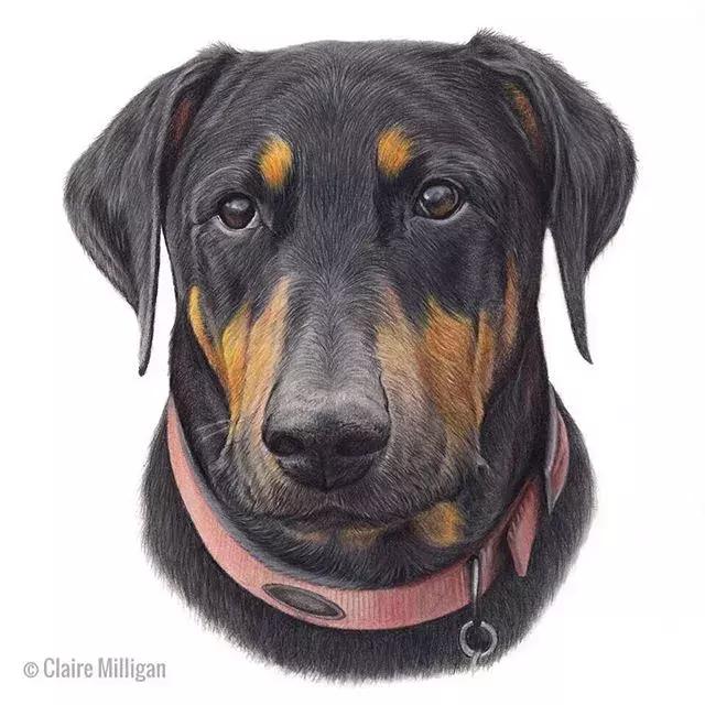 画得比实物好看,彩铅怎么样能画好看