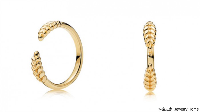 娆ф床浜虹埍榛勯噾,娆ф床浜虹埍涓浗浜у搧