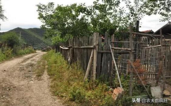 发现小偷偷自己东西怎么办,发现小偷偷东西怎么办幼儿教案