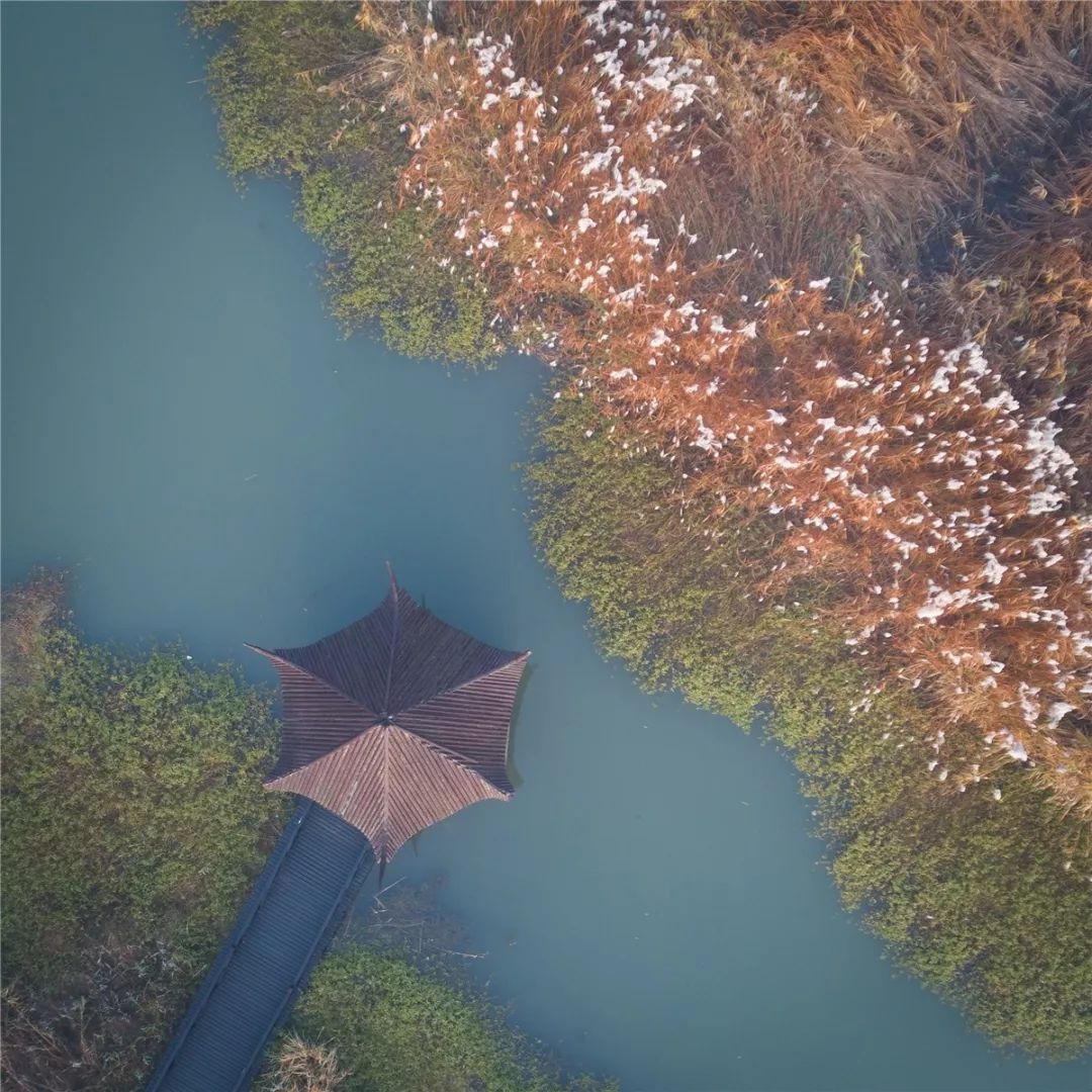 一入秋西安就美成长安,一入秋杭州就美成临安