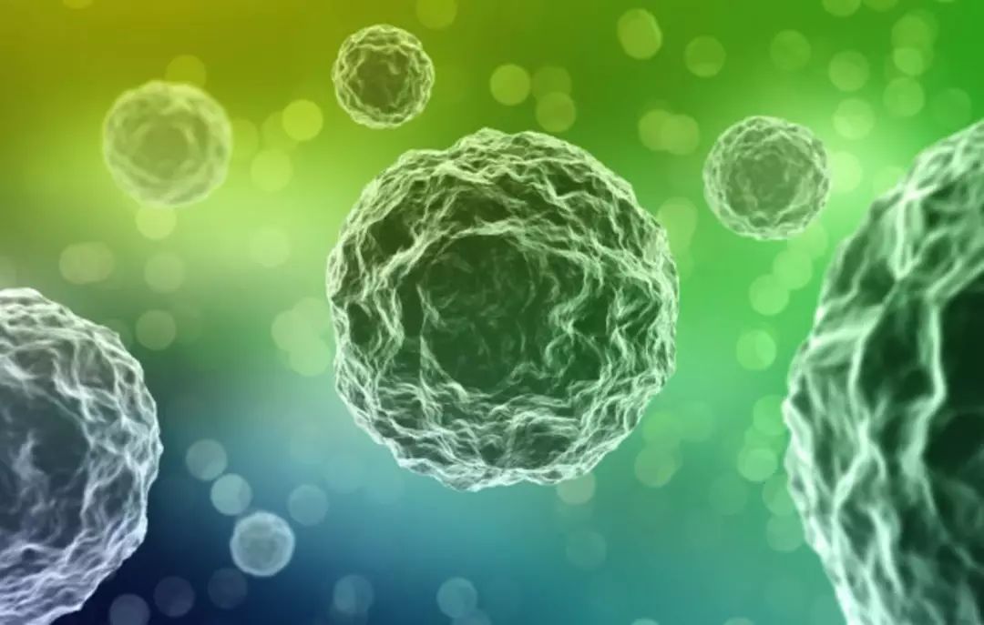 肥胖患者得癌症的风险更高吗,研究揭示肥胖最大风险基因