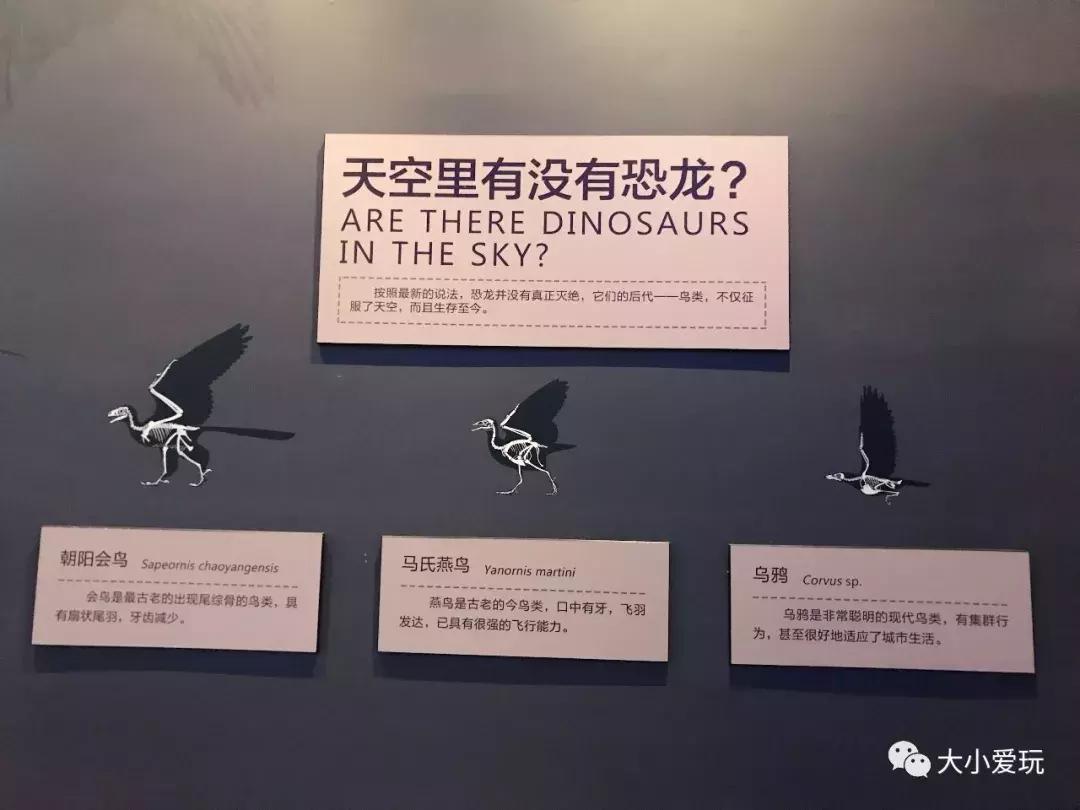 开放首日实探国家海洋博物馆，史上最抢手博物馆究竟长什么样