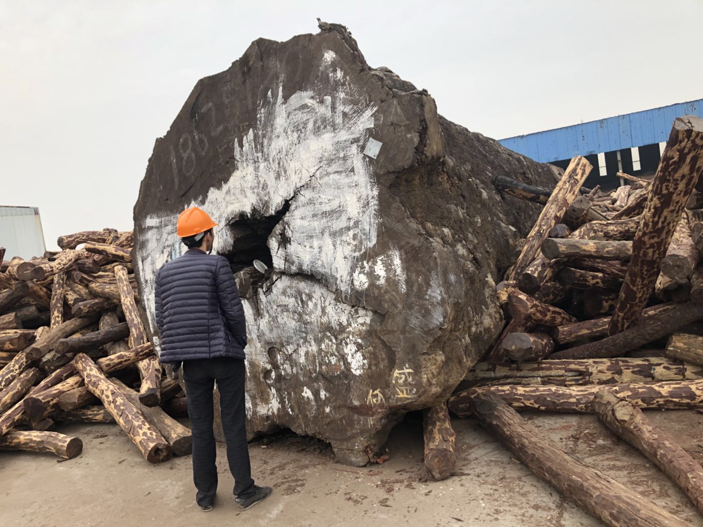 成都土豪50岁娶媳妇，聘礼给70吨，整整5卡车，漂洋过海太浩大