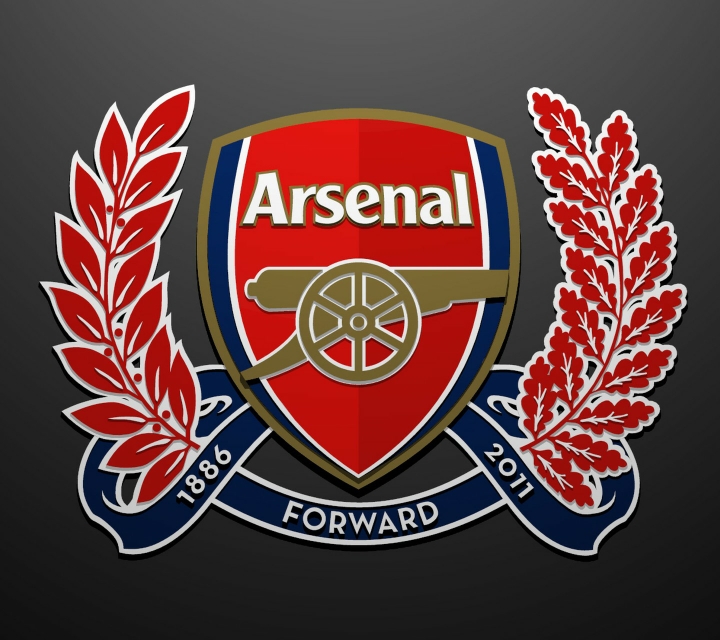 30支篮球队球标,各足球队队徽图片