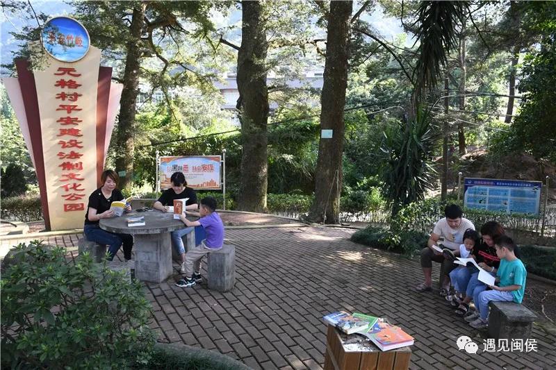 古树群下现“鸟巢书屋”，快来闽侯“悦”读一下