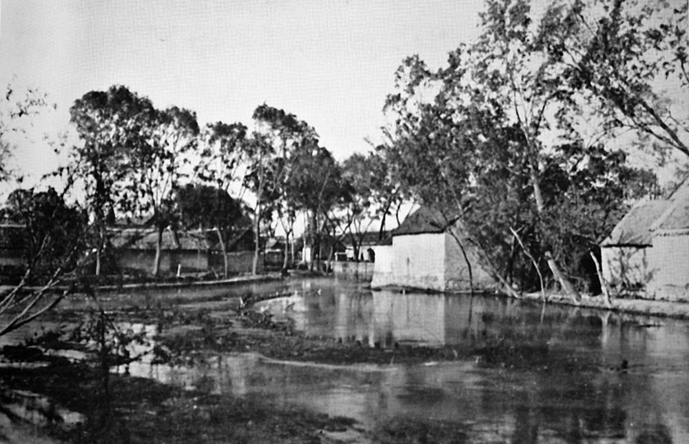 济南北园纪事——孤村依渔舍，群鸥泛稻池，那些美丽的人和事你还记得多少？