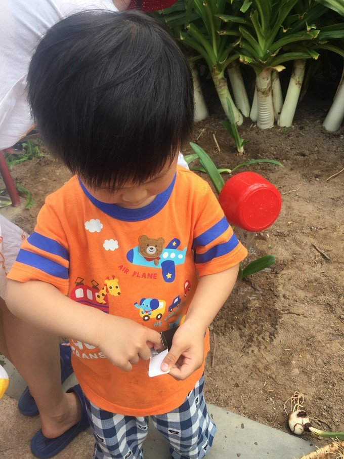 全家去三亚过年攻略,全家去三亚自驾过年攻略