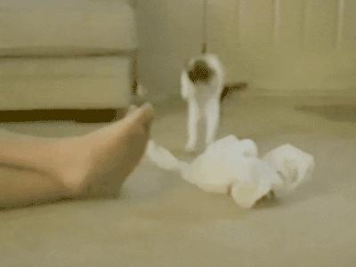 空姐的脚只能远观，近了没几个人能顶得住