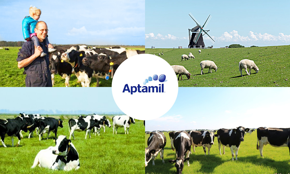 爱他美白金哪个版本奶粉最好,进口爱他美奶粉哪一款更好