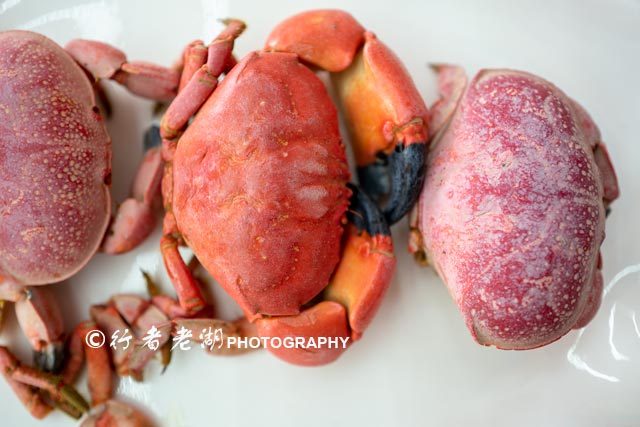 如何玩转外伶仃岛,广东省外伶仃岛游玩攻略