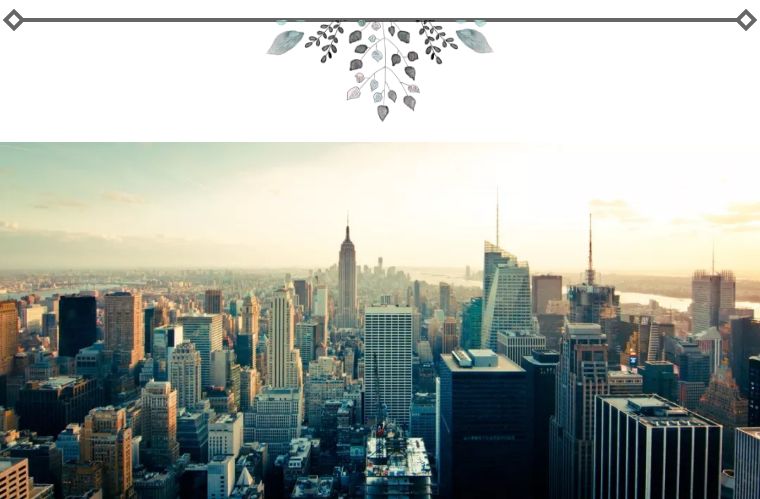 生产销售假药罪司法解释,制售假药罪最新政策