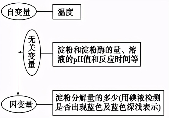 高中生物实验及其作用总结,高中生物实验要点归纳图