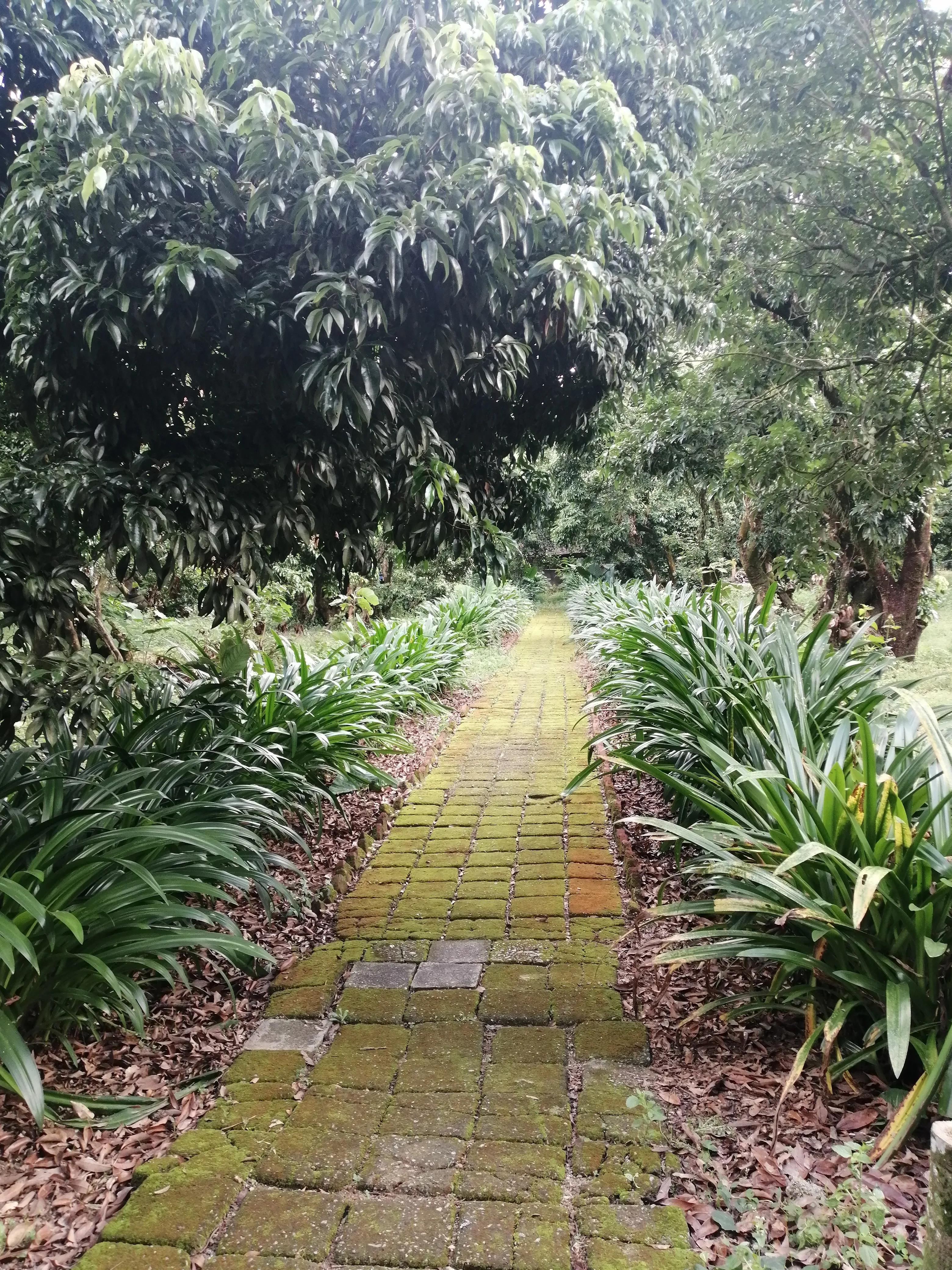 景洪市西双版纳风情园视频,西双版纳景洪市民族风情园