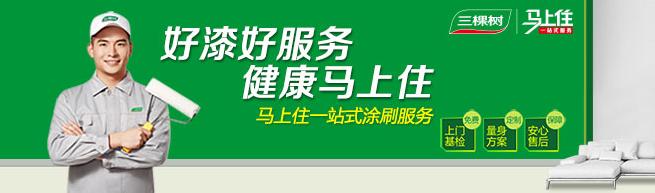 乳胶漆十大品牌多少钱一桶,十大品牌乳胶漆哪款性价比高